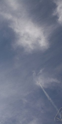 2012 Svojek mirek patek